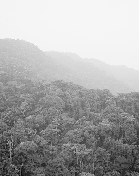 Bwindi Africa Winfried Bullinger Photography